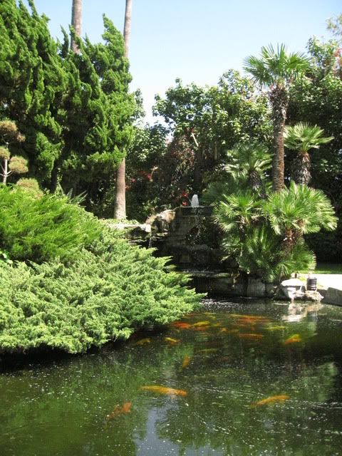 IMG_4590-1.jpg picture by lacvietdontoan