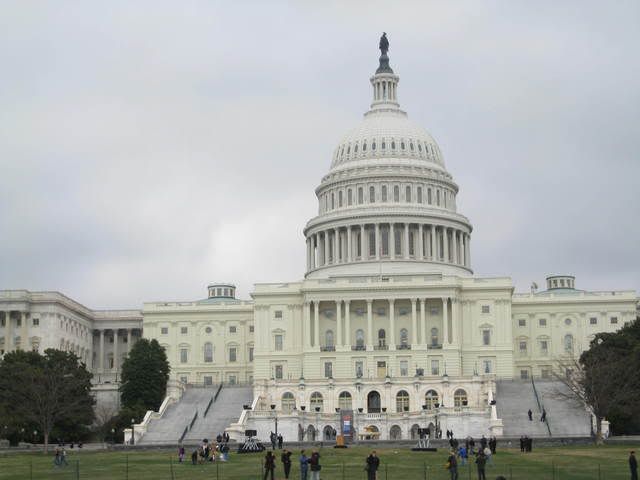 IMG_2354.jpg picture by lacvietdontoan