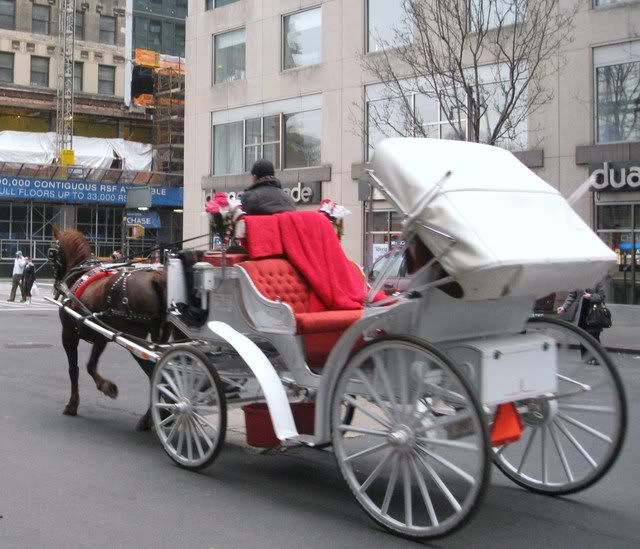 IMG_2583.jpg picture by lacvietdontoan