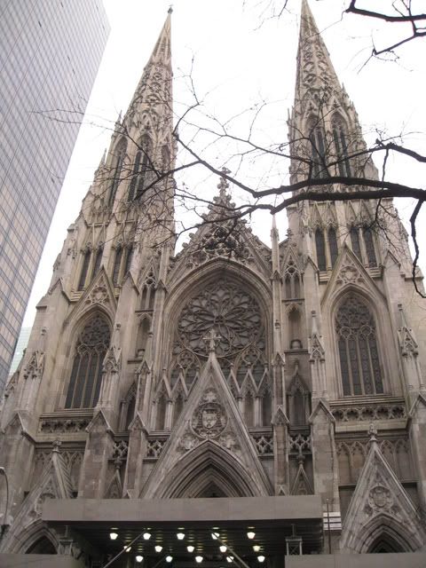 IMG_2616.jpg picture by lacvietdontoan