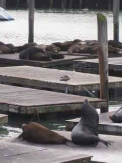 IMG_1945.jpg picture by lacvietdontoan