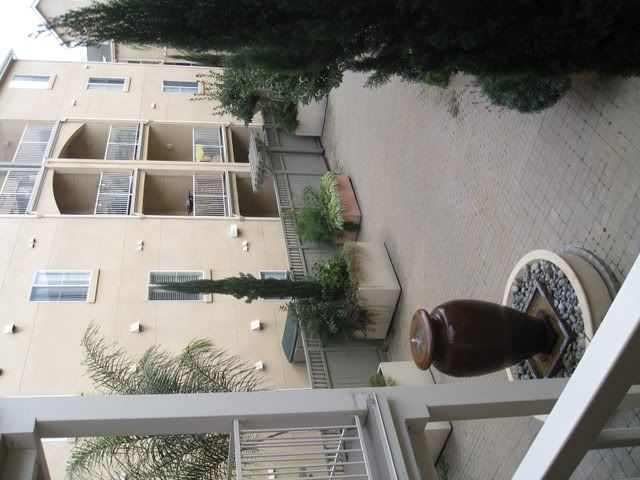 IMG_2003.jpg picture by lacvietdontoan