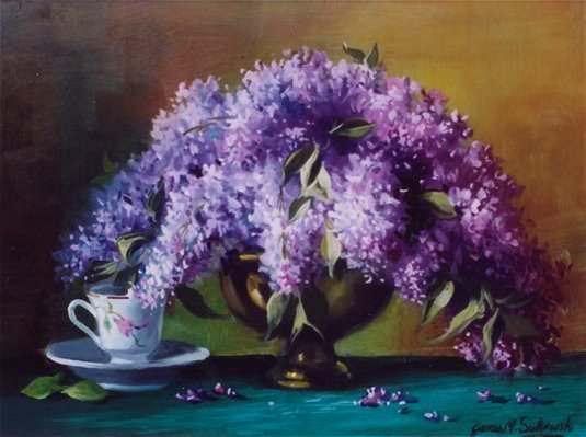 Lilacs Pictures, Images and Photos