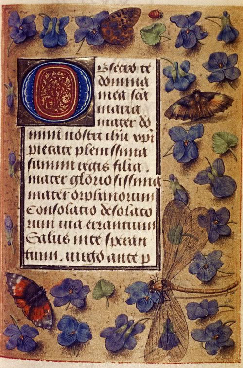 Hours of Engelbert of Nassau