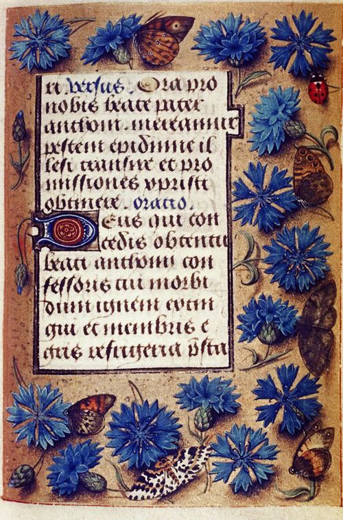 Hours of Engelbert of Nassau