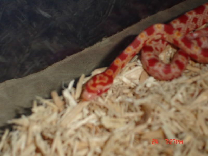 Picture022.jpg