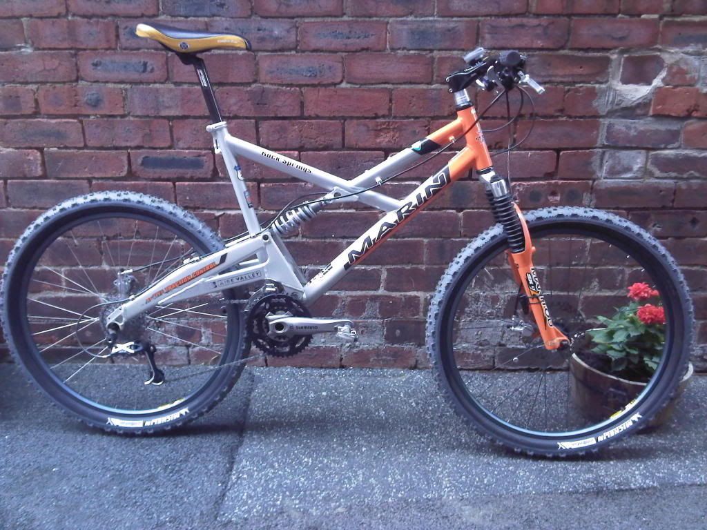 panda bamboo bicycle