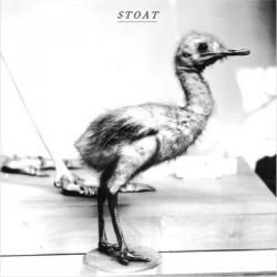 stoat cover