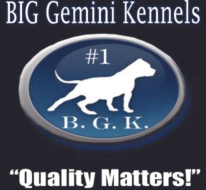 photo BGKQualityMatters_zps39ddc8e6.jpg