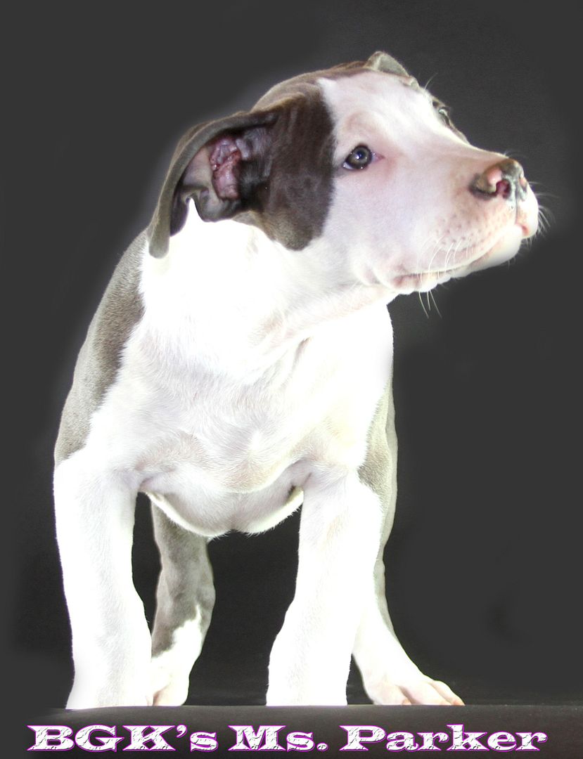 photo MSParker6weeks_zpse1cb8865.jpg