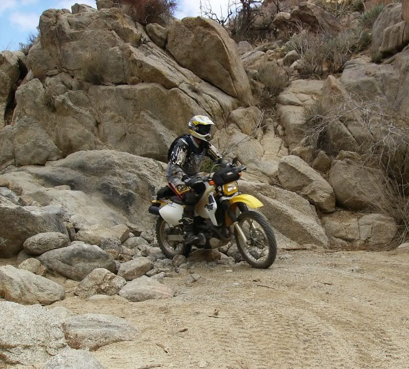 desertride5-24-08004.jpg