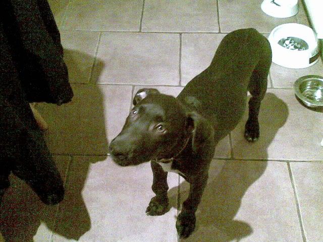 08102007.jpg