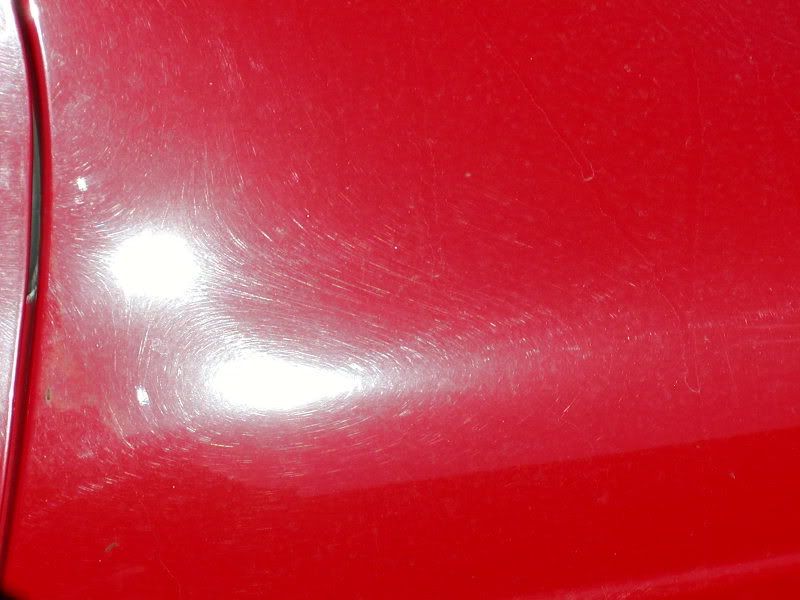 P1010004.jpg