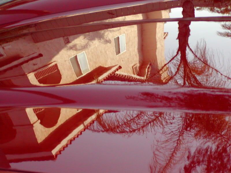 P1010074.jpg