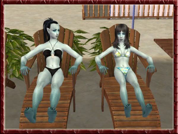 snapshot_52805019_b2806444.jpg