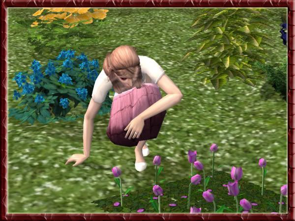 snapshot_b27f65cf_927f689f.jpg
