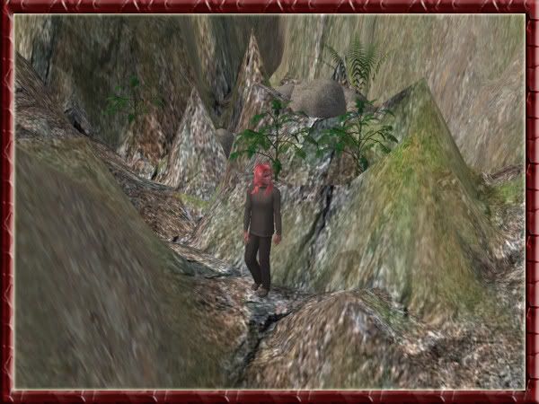 snapshot_b2806c56_12807004.jpg
