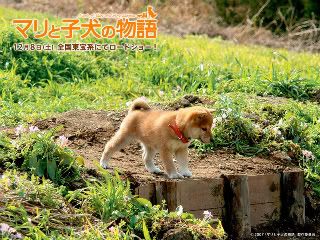 cutee