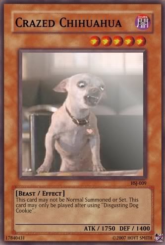 HSJ-009-CrazedChihuahua.jpg