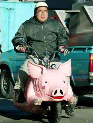 pig-o-cycle.jpg