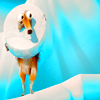 Ice_Age_20.png