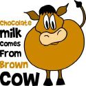 chocolate milk comes from brown cows Pictures, Images and Photos