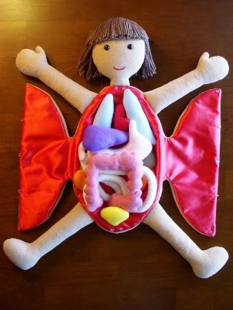 The Crafty Cattery Anatomy Doll Pattern