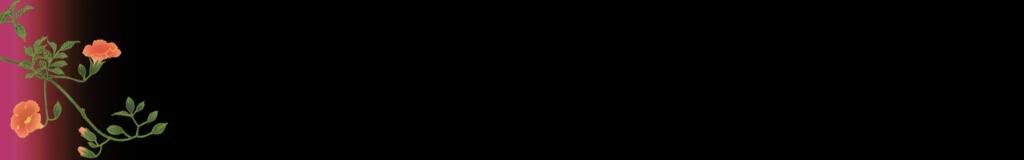 lozocat
