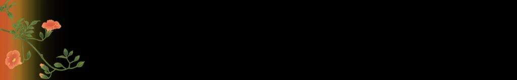 lozocat