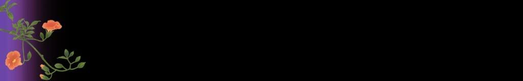lozocat