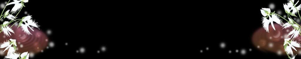 lozocat