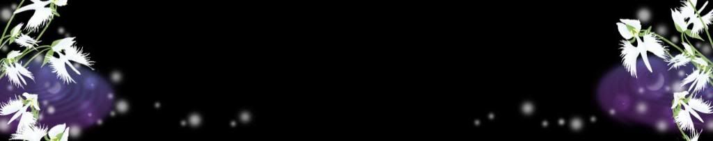 lozocat