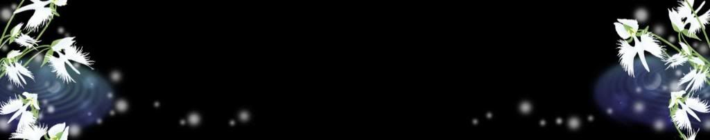 lozocat