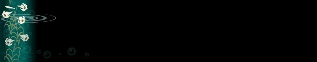 lozocat