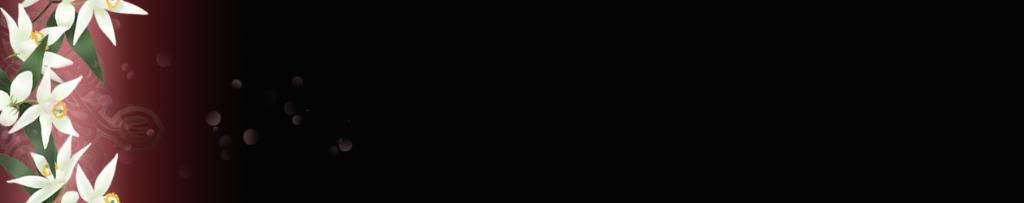 lozocat