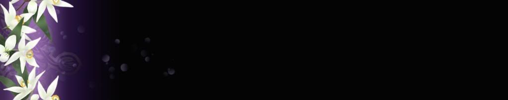lozocat