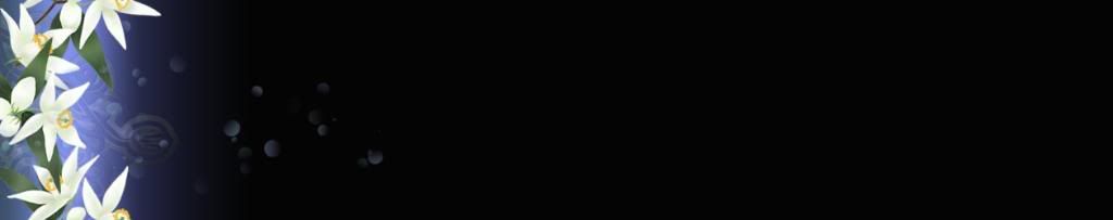 lozocat