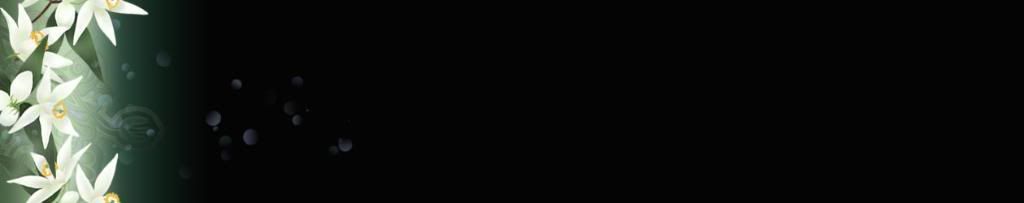 lozocat