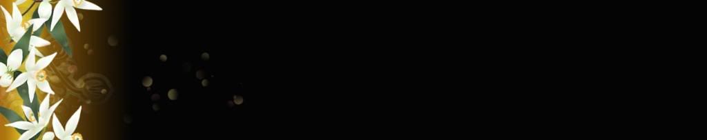 lozocat