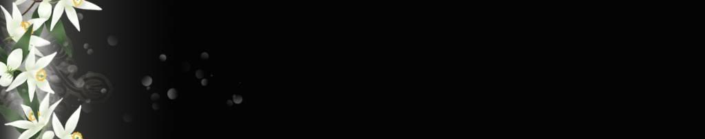lozocat