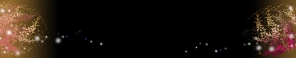lozocat