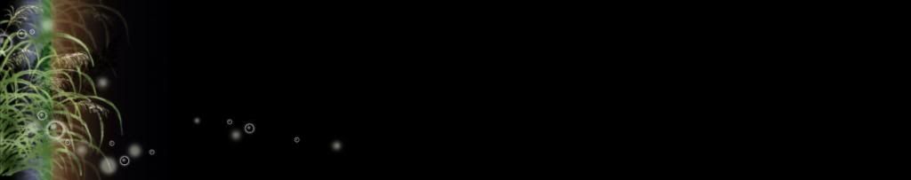 lozocat