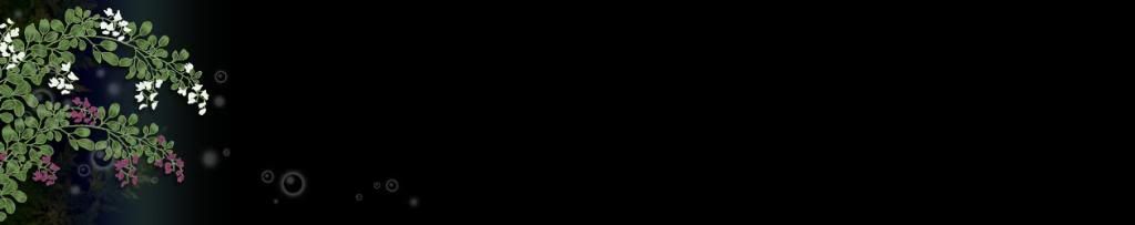 lozocat