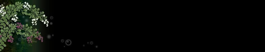 lozocat