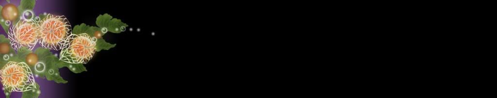 lozocat