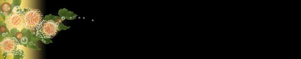lozocat