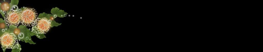 lozocat