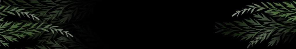 lozocat