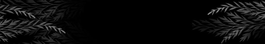 lozocat
