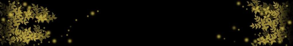 lozocat